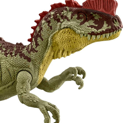 Mattel Jurassic World Large Dinosaur Figures Approx 12 in Tall Toy with Authentic Decoration & Realistic Sculpting, Gift for Kids Ages 3 Years & Older