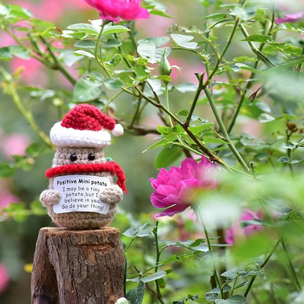 1 Pcs Positive Mini Funny Potato Holding Card Crochet Easter Birthday Christmas Mom Dad Sister Friend Wife Husband Colleauge College Students Coworkes Cheer Up Gift Decor