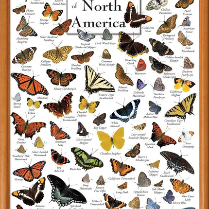 MasterPieces 1000 Piece Jigsaw Puzzle for Adults, Family, Or Youth - Butterflies of North America - 19.25"x26.75"