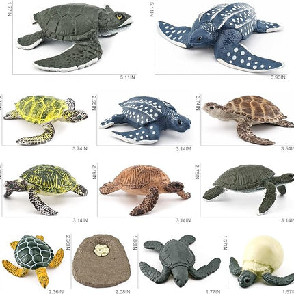 12PCS Sea Turtles Figurine Toys Set Realistic Large Leatherback Turtle Toy Plastic Turtle Modle Boy Birthday Gift for Kids
