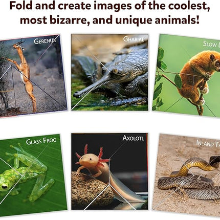 Skillmatics Origami Puzzle Book - 48 Folding Puzzles for Kids, Fun STEM Toy & Brain Teasers, Educational & Travel Gifts for Ages 6, 7, 8, 9, 10 and Up