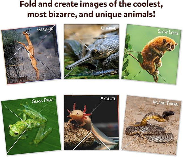 Skillmatics Origami Puzzle Book - 48 Folding Puzzles for Kids, Fun STEM Toy & Brain Teasers, Educational & Travel Gifts for Ages 6, 7, 8, 9, 10 and Up