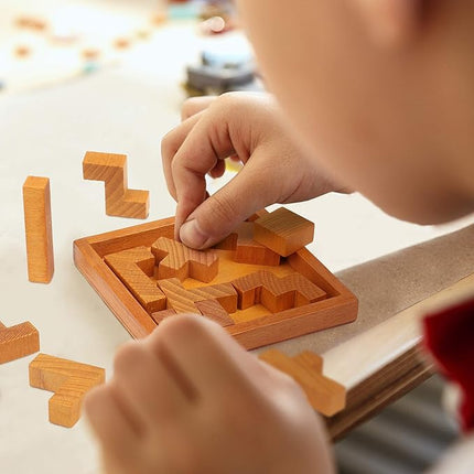 Wooden Brain Teaser Puzzles for Kids Children & Adults. New Level of Challenge for Those who Love Good Mental Workout