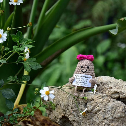 1 Pcs Positive Mini Potato Breast Cancer Good Luck Gifts for Women Easter Birthday Christmas Mom Sister Friend Wife Colleauge Coworkes Mental Support