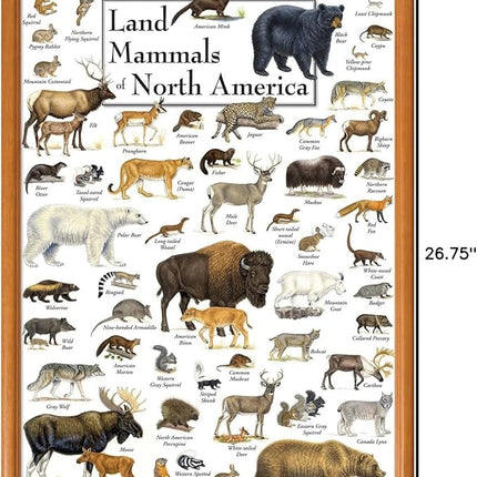 MasterPieces 1000 Piece Jigsaw Puzzle for Adults, Family, Or Youth - Land Mammals of North America - 19.25"x26.75"