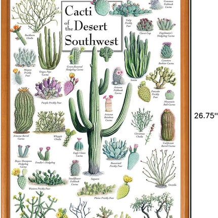 MasterPieces 1000 Piece Jigsaw Puzzle for Adults, Family, Or Youth - Cacti of The Desert Southwest - 19.25"x26.75"