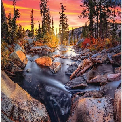 Buffalo Games - Earthpix - Forest Magic Hour - 1000 Piece Jigsaw Puzzle for Adults -Challenging Puzzle Perfect for Game Nights - Finished Size is 26.75 x 19.75