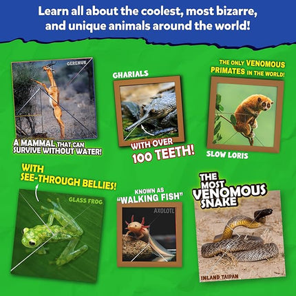 Skillmatics Scrapbooking Kit & Origami Puzzle Book - 48 DIY Folding Puzzles with Fun Fact Encyclopedia, STEM Learning & Travel Toy, Brain Teasers, Educational Gifts for Ages 6, 7, 8, 9, 10 and Up