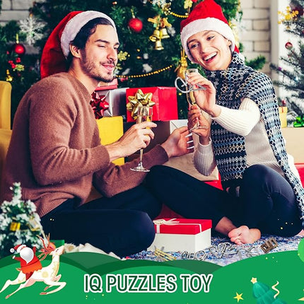 24 Pack Brain Teaser Puzzle Set Wooden and Metal 3D Interlocking IQ Toys for Adults and Teens Educational Games(Classic Style)