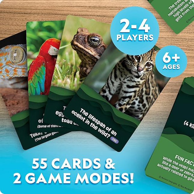 National Geographic Anyone's Guess Rainforest Animals Trivia Cards - Kids Trivia Card Game with 55 Jumbo Cards, Animal Games, Trivia Game