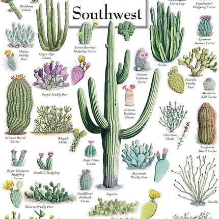 MasterPieces 1000 Piece Jigsaw Puzzle for Adults, Family, Or Youth - Cacti of The Desert Southwest - 19.25"x26.75"