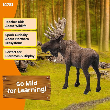Schleich Wild Life Moose Bull Figurine - Wild Animal Toy Figurine, Durable for Education and Imaginative Play for Boys and Girls, Gift for Kids Ages 3+