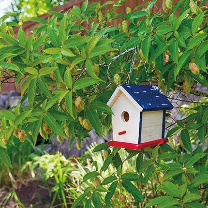 Beetle & Bee Paint A Bird Base, Backyard Birdhouse Kit, Bird House Painting Kit for Kids, DIY Arts & Crafts Gardening For Kids & Teens, Boys & Girls