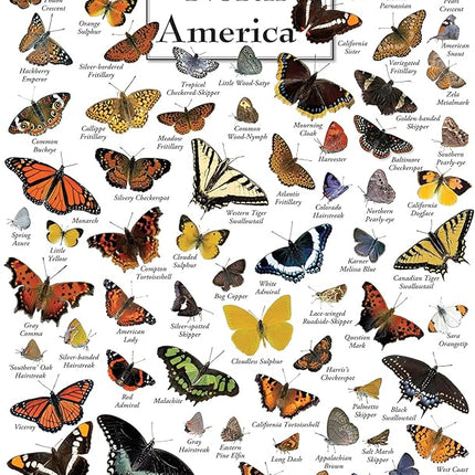 MasterPieces 1000 Piece Jigsaw Puzzle for Adults, Family, Or Youth - Butterflies of North America - 19.25"x26.75"
