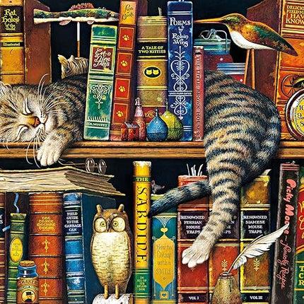 Buffalo Games - Charles Wysocki - Frederick The Literate - 1000 Piece Jigsaw Puzzle for Adults -Challenging Puzzle Perfect for Game Nights - Finished Size is 26.75 x 19.75